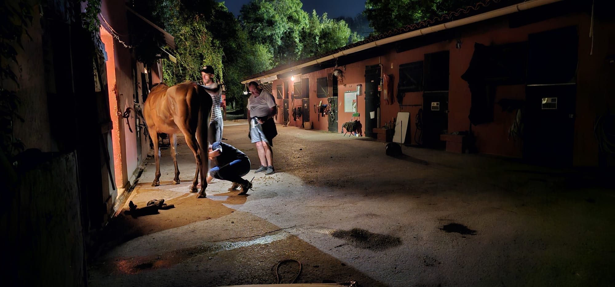 Le Royaume Du Cheval Pension Complete Pour Chevaux Villeneuve Loubet Galerie 10