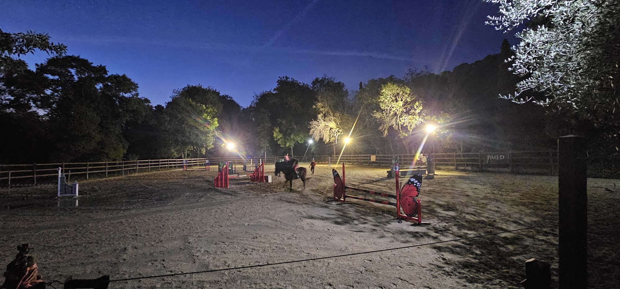 Le Royaume Du Cheval Pension Complete Pour Chevaux Villeneuve Loubet Galerie 20