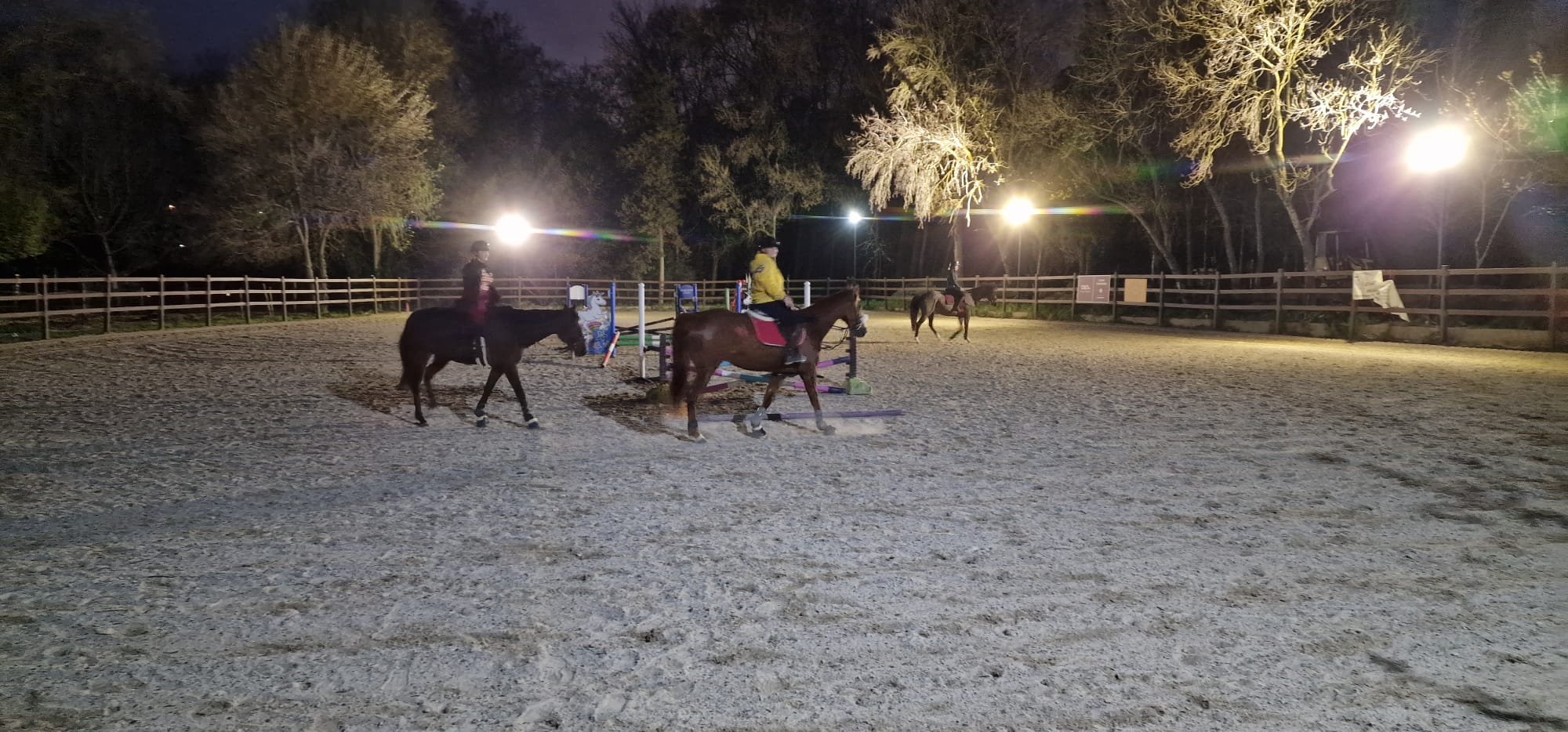 Le Royaume Du Cheval Pension Complete Pour Chevaux Villeneuve Loubet Galerie 21