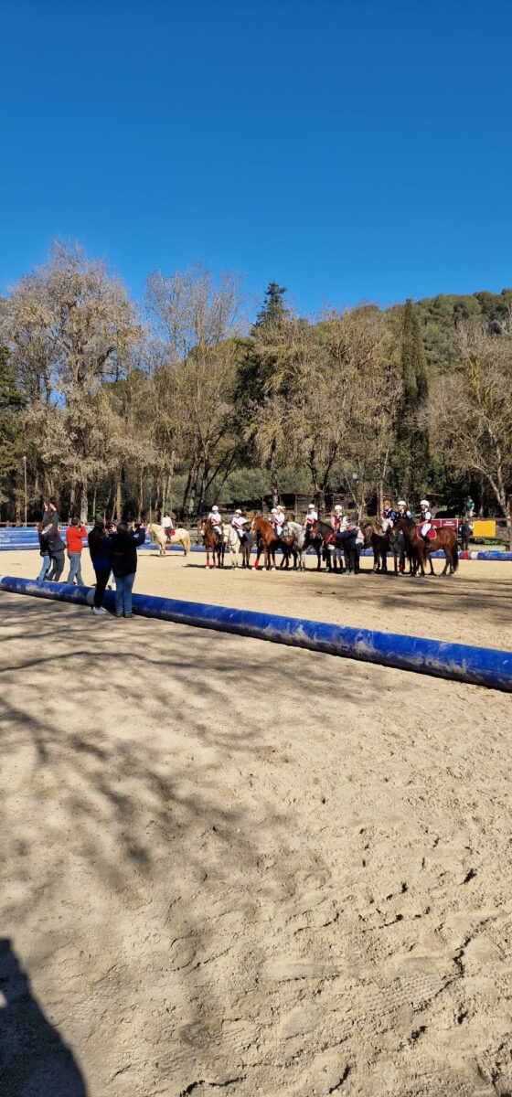 Le Royaume Du Cheval Pension Complete Pour Chevaux Villeneuve Loubet Galerie 22