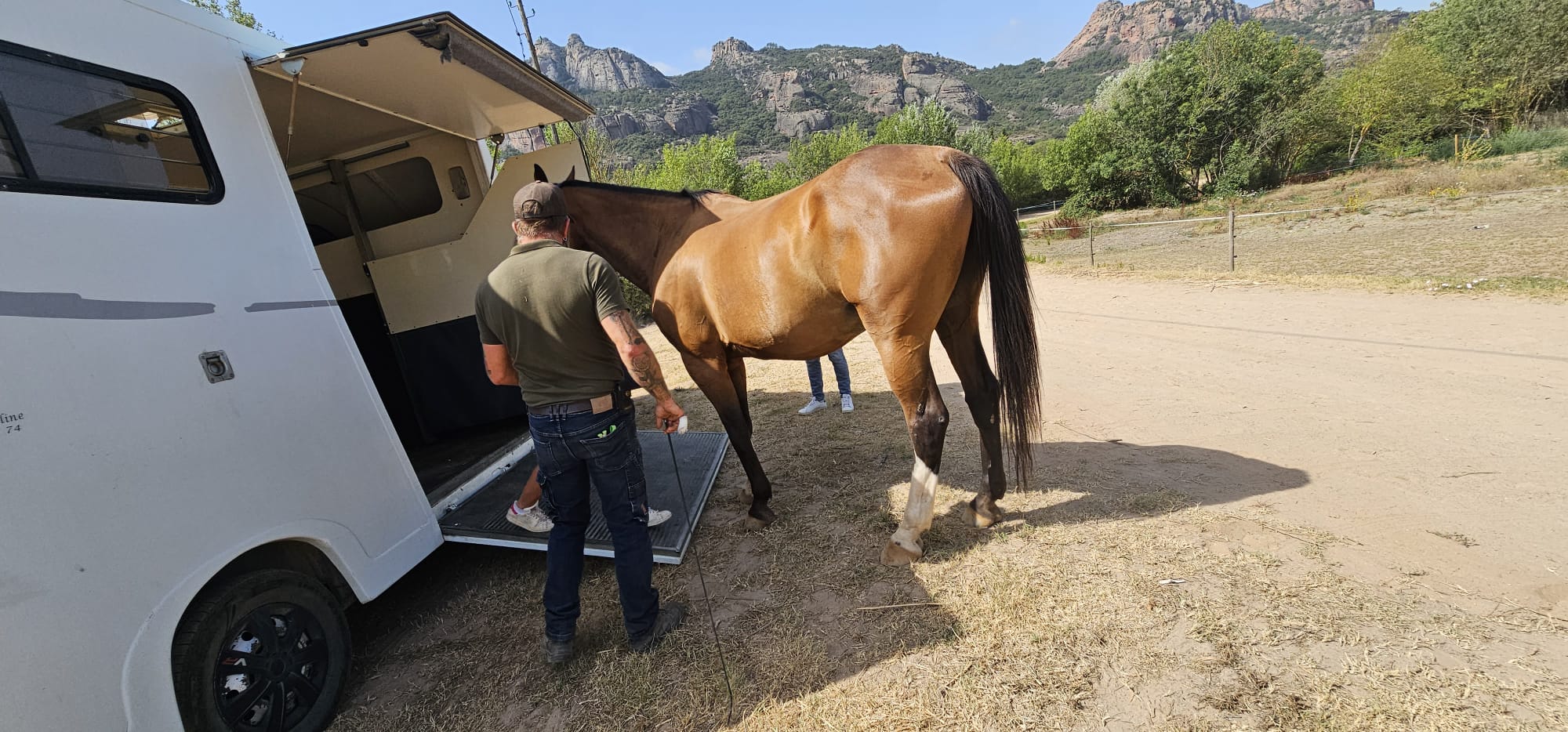 Le Royaume Du Cheval Pension Complete Pour Chevaux Villeneuve Loubet Galerie 27