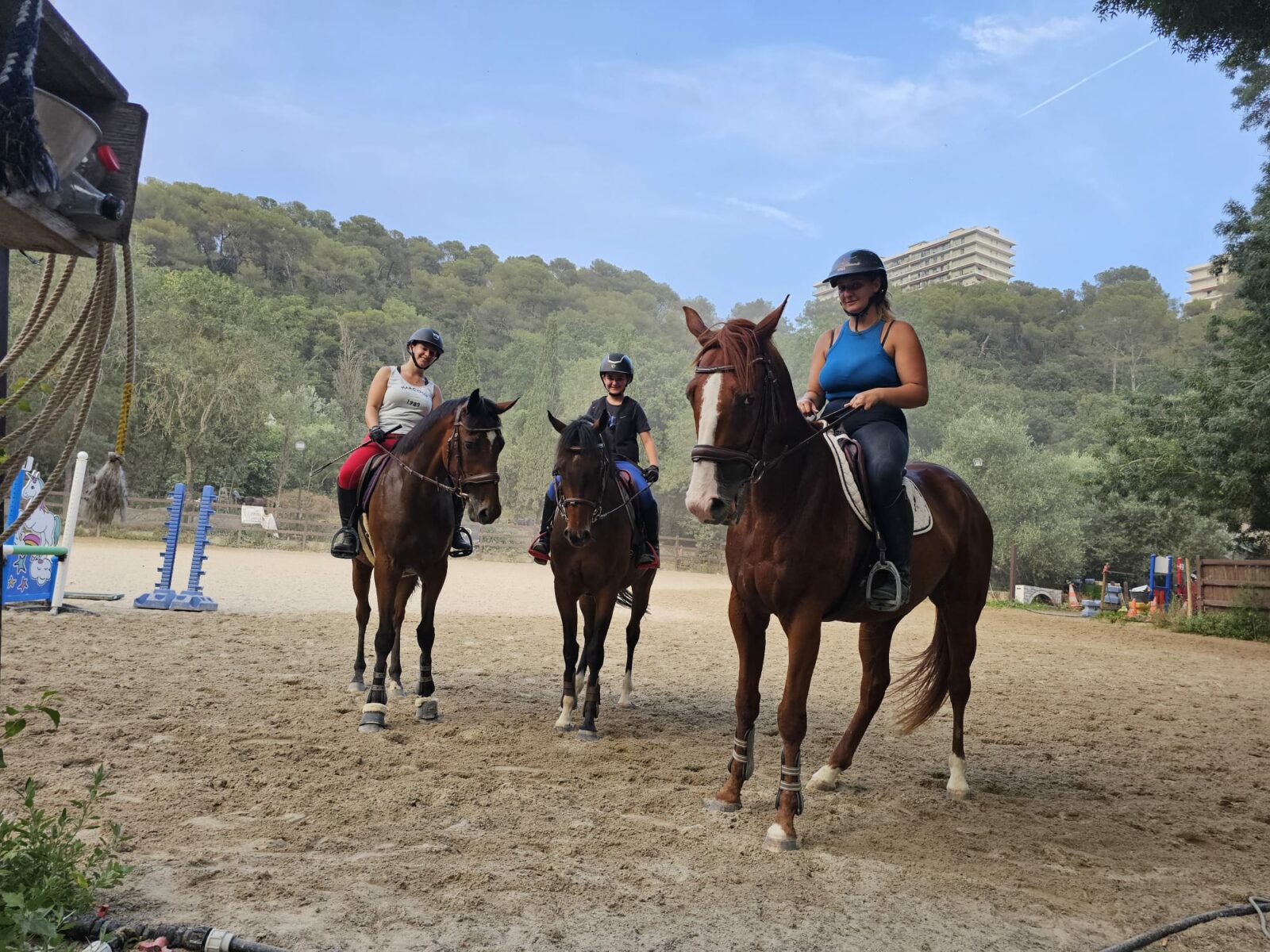 Le Royaume Du Cheval Pension Complete Pour Chevaux Villeneuve Loubet Galerie 29