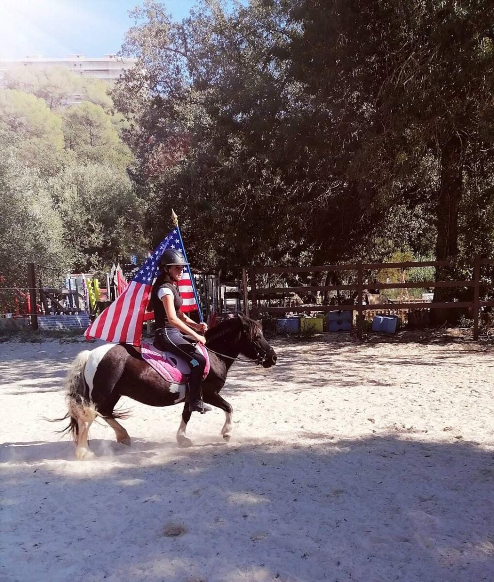 Le Royaume Du Cheval Pension Complete Pour Chevaux Villeneuve Loubet Galerie 5